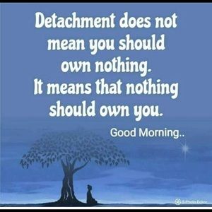 Meet your Posher, Avi